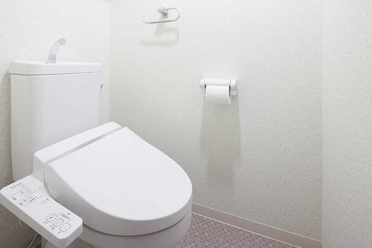 トイレの臭いの原因や、臭いを取り除く掃除方法をご紹介！ ブログ プロストア ダイレクト