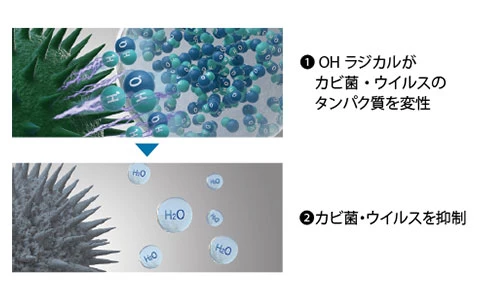 ナノイーXのカビ菌抑制イメージ