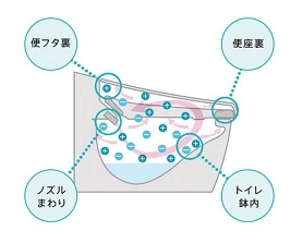 鉢内除菌イメージ2