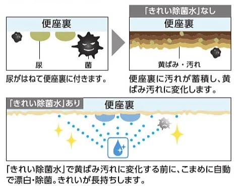 きれい除菌水