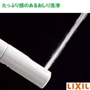 CW-PB21AQ-NEC シャワートイレPBシリーズ 便フタなし仕様