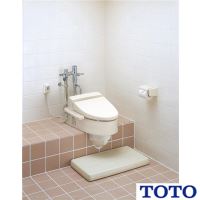 CS501F+TCF4734 スワレット(和風改造用便器)+ウォシュレット ...
