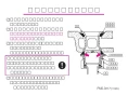 LIXIL(リクシル) LF-10PA 施工説明書 ゴム栓式壁排水Pトラップ 施工説明書1