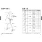 TOTO TLG11305J 取扱説明書 商品図面 施工説明書 分解図 洗面所･洗面台用 台付シングル混合水栓 GFシリーズ 取扱説明書4